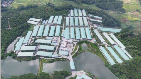 祝氏大荣养殖核心示范区