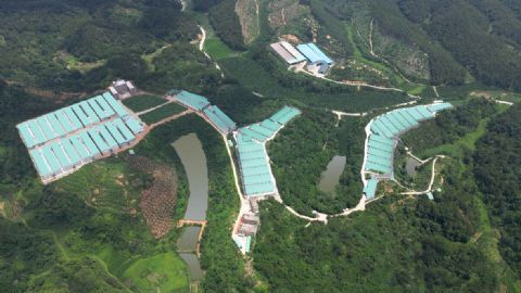 祝氏凤美生态养殖示范区