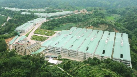 祝氏凤美生态养殖示范区